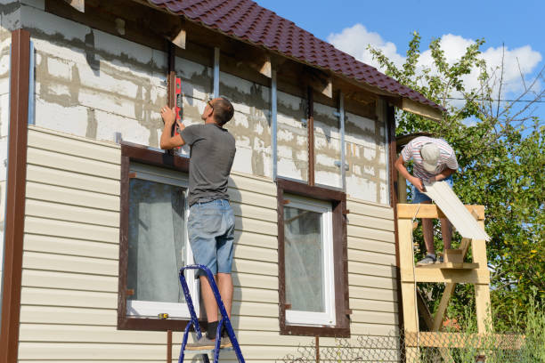 Best Storm Damage Siding Repair  in Clive, IA