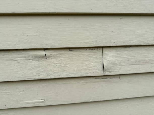 Professional Siding in Clive, IA